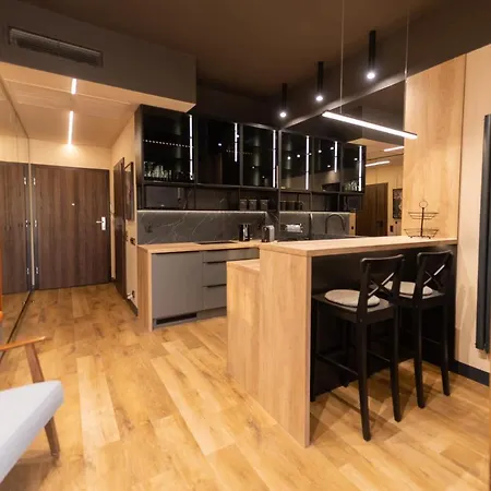 דירה Hanza Apartament 403 שצ'צ'ין