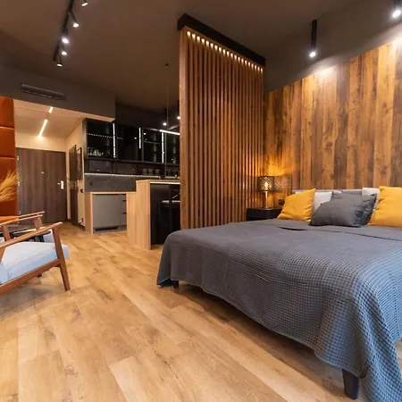 דירה Hanza Apartament 403 שצ'צ'ין